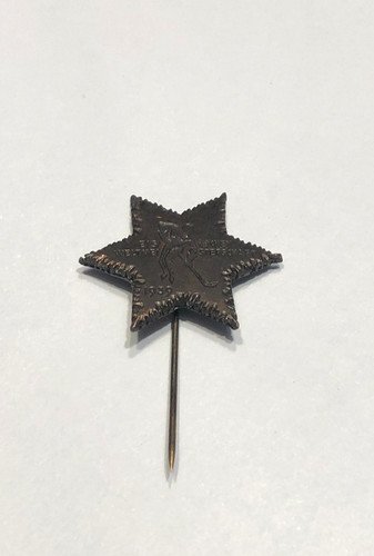 Official logo pin - logo,