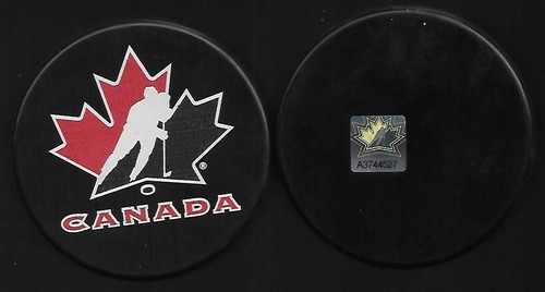 Eishockey puck national - puck,